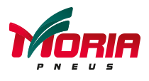 logo_moria